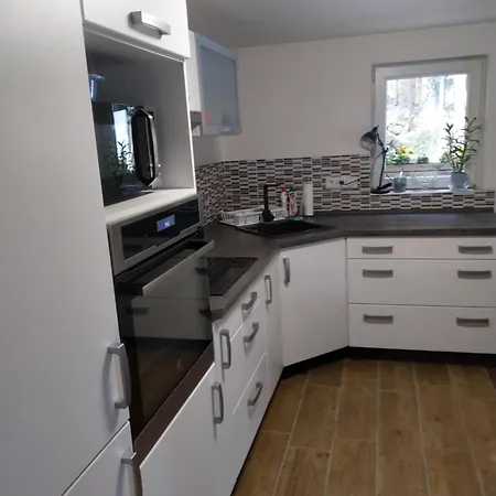 Apartmany Sharka -Sarka Justrova Decin Room photo