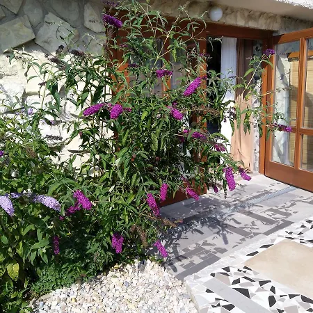 Apartmany Sharka -Sarka Justrova Decin Exterior photo