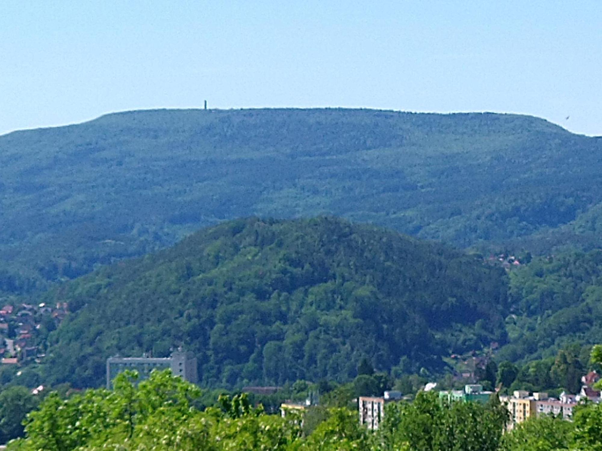Sharka -sarka Justrova Decin