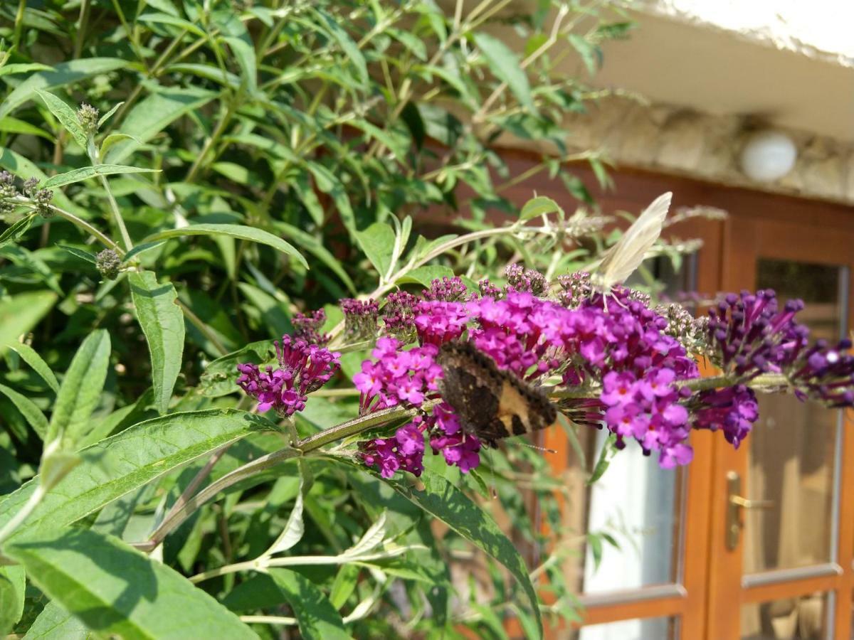 Sharka -sarka Justrova Apartamento